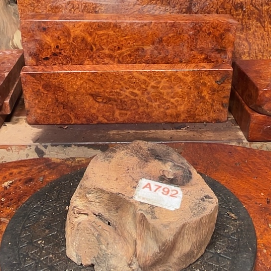 大果紫檀（缅甸花梨）