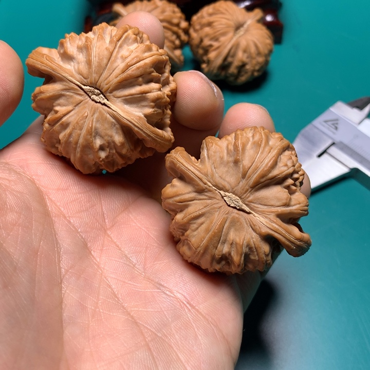 把件文玩核桃白狮子