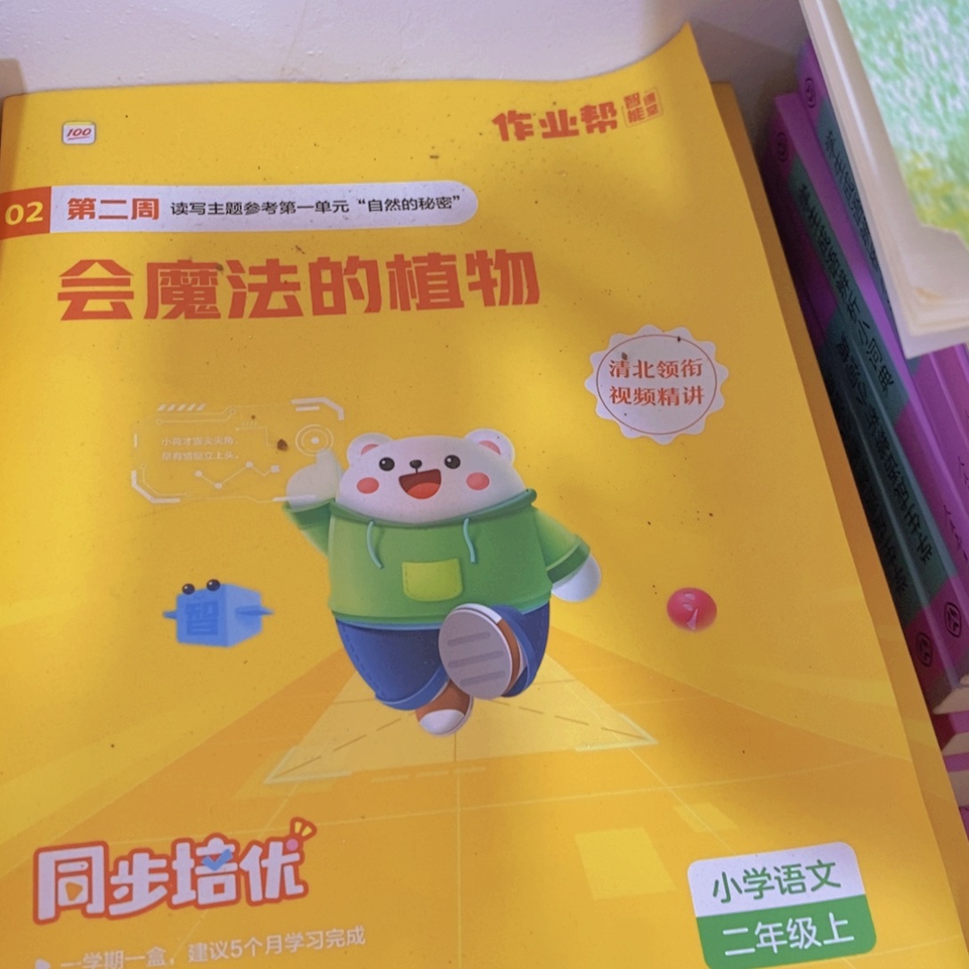 同步培优小学语文二年级上