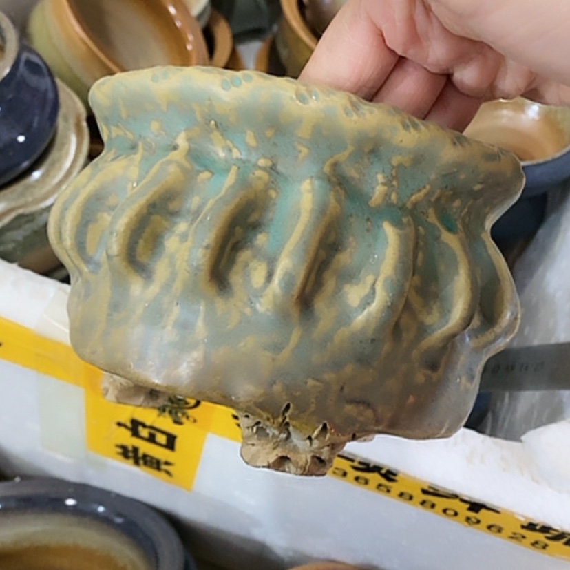 【闪购商品】红陶口11.5