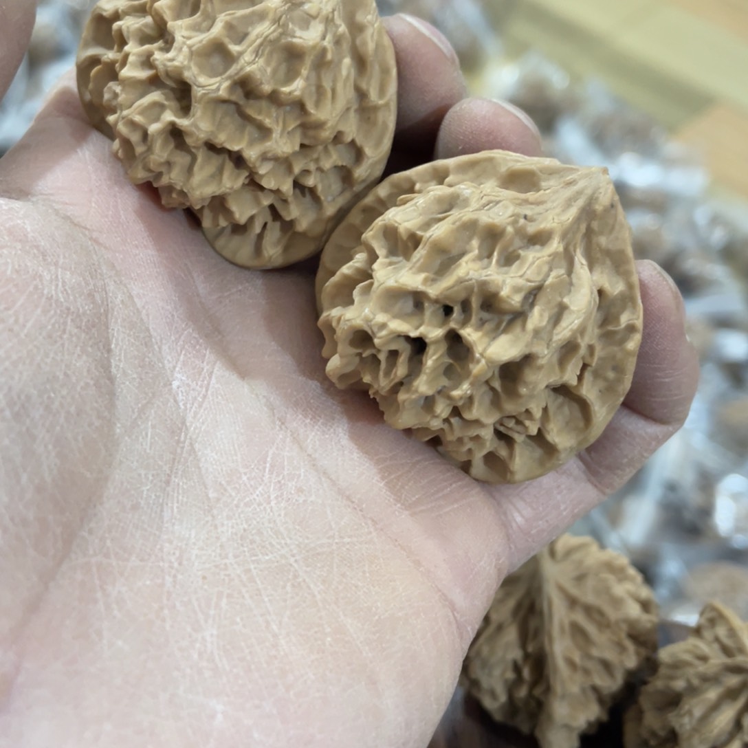 秦岭山脉中段怒江与我
