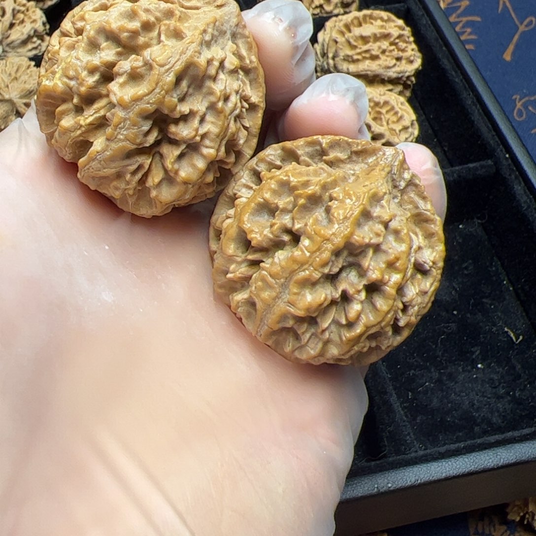 文玩核桃把件秦岭野生植物核桃