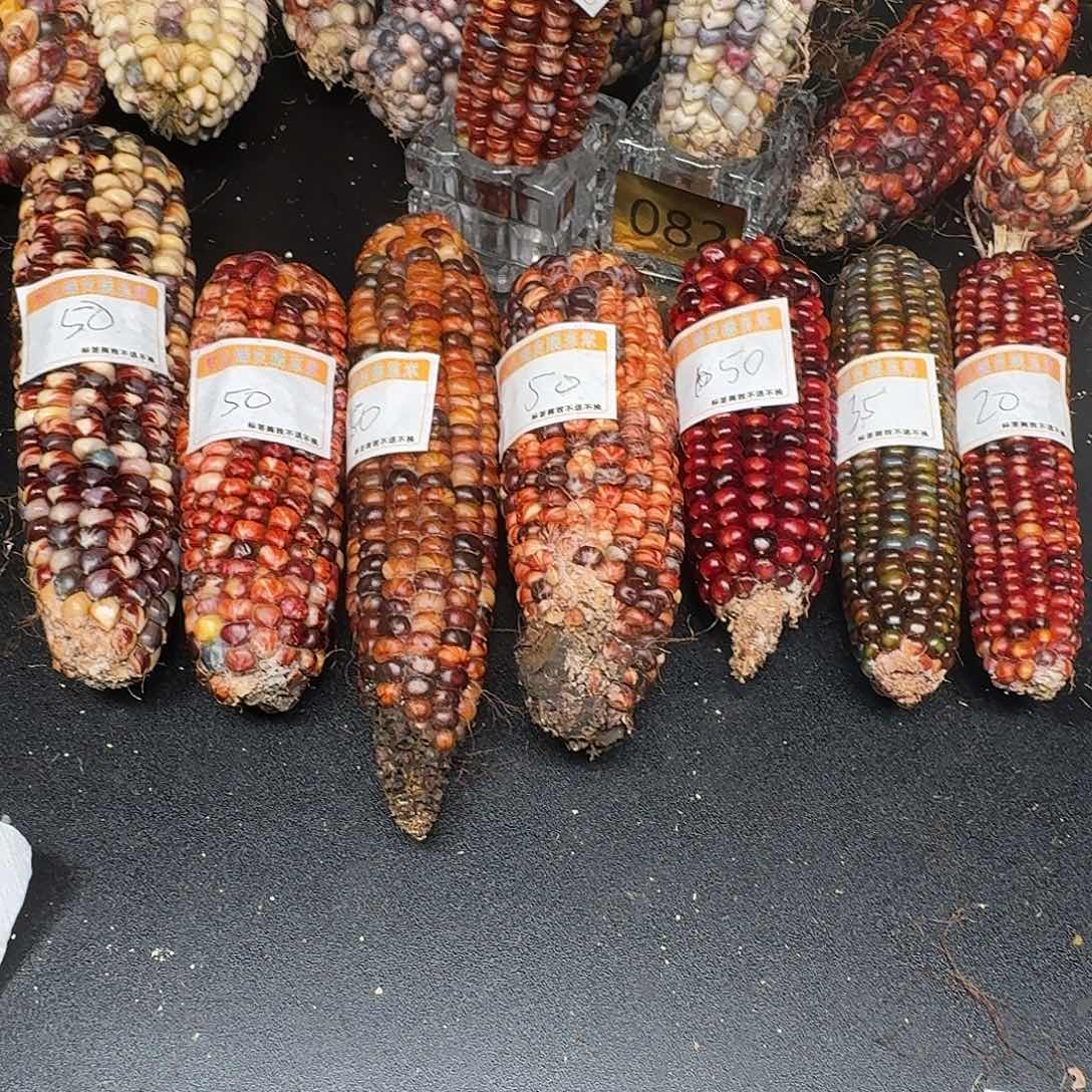 S***_大叶紫檀（黑酸枝木类）