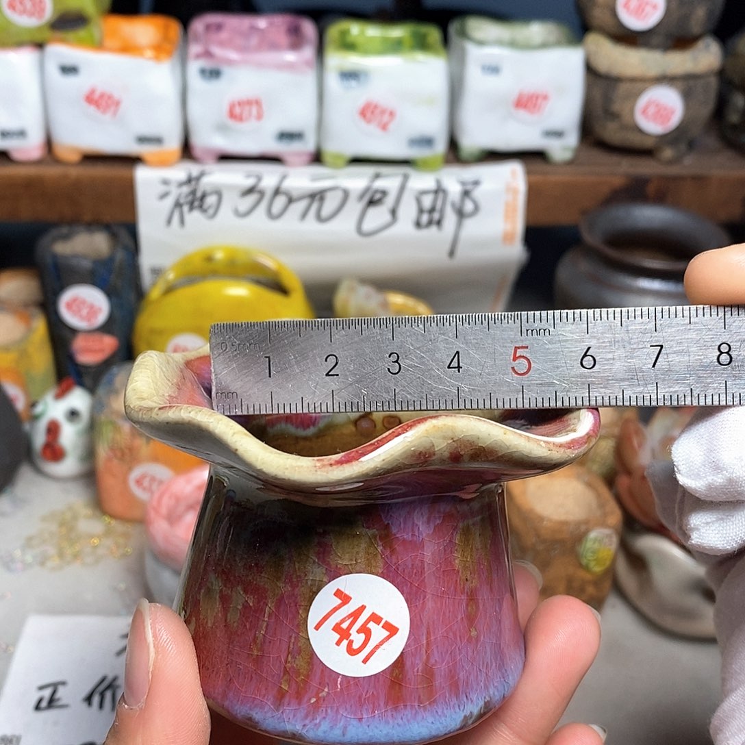 红陶拍5送一个小