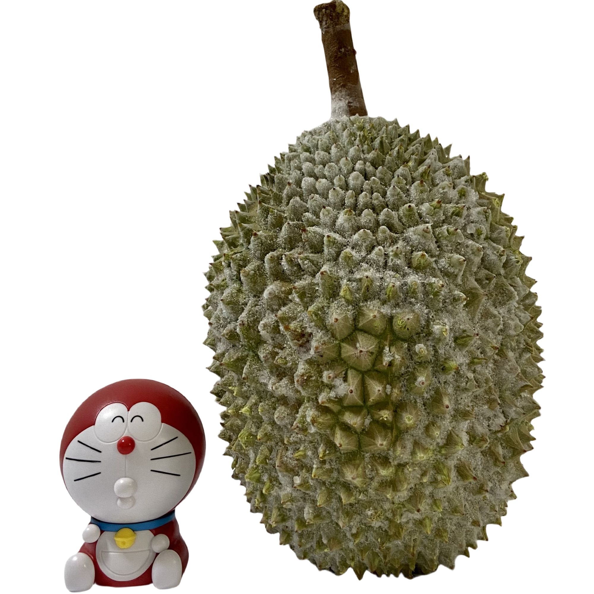 猫山王D197液氮新鲜榴莲整个果（2-8斤）猫山王马来西亚