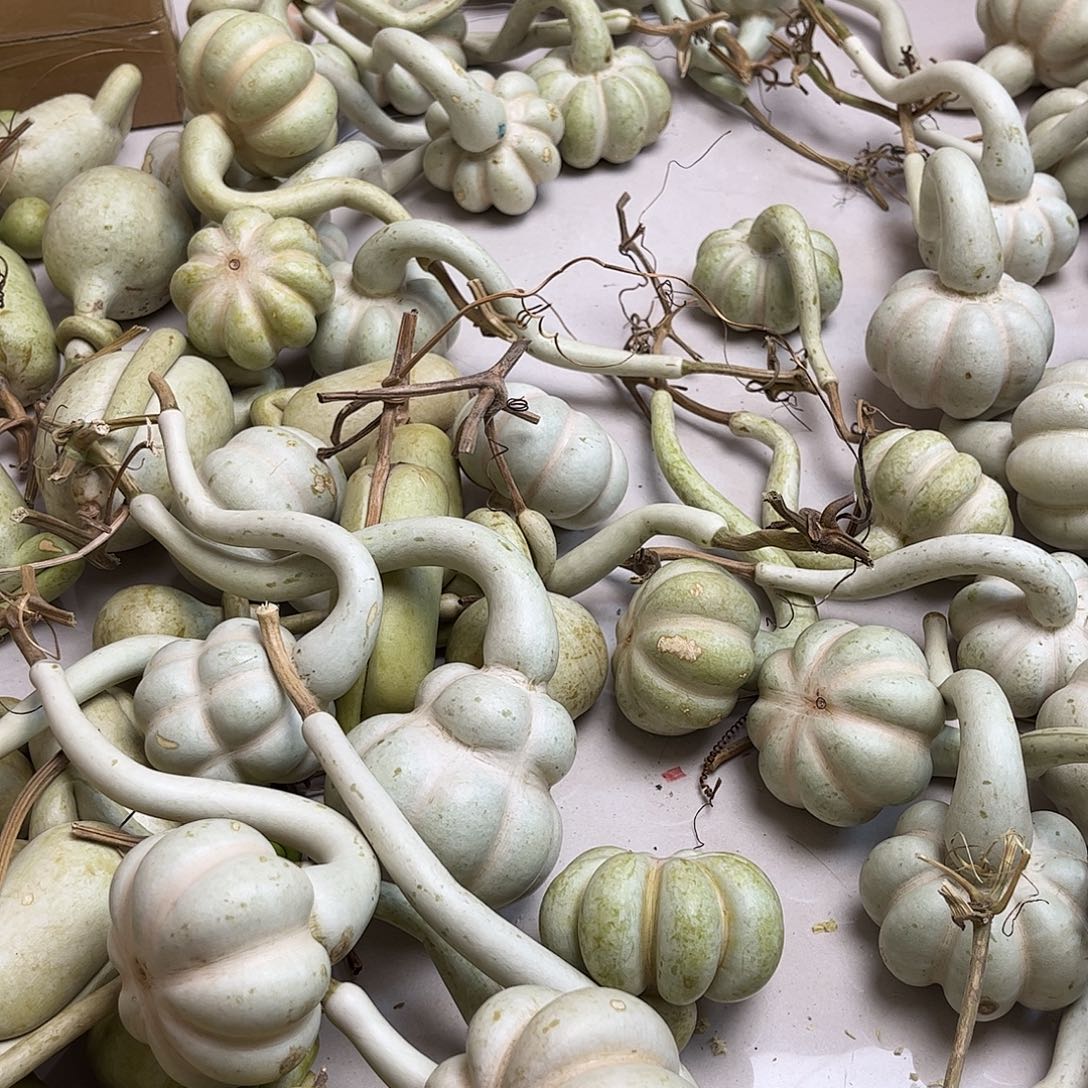 我想知道什么时候才