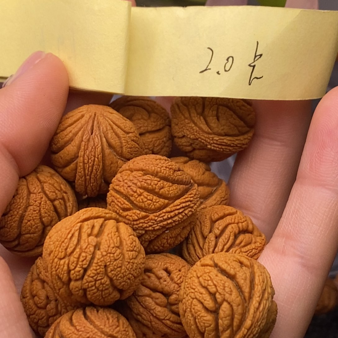 秦岭山脉龙纹桃核 13