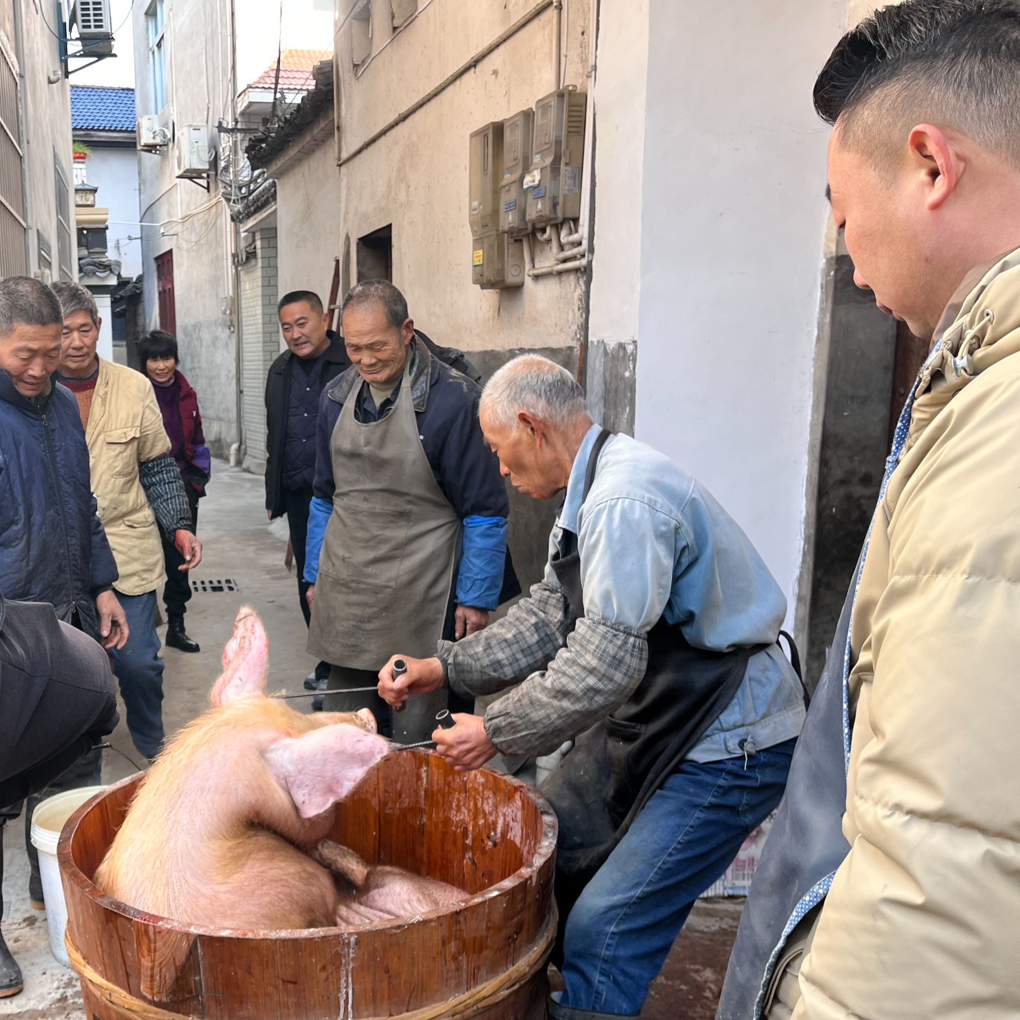 【书记助农】农户散养土猪肉