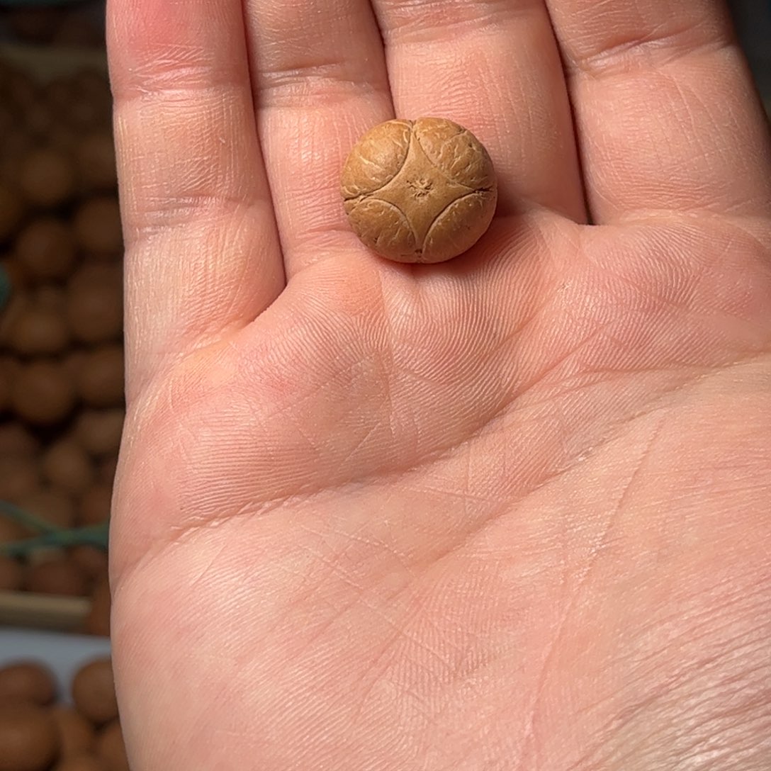 桃核吊坠17.5麒麟眼单颗，开孔不退，偏远不包