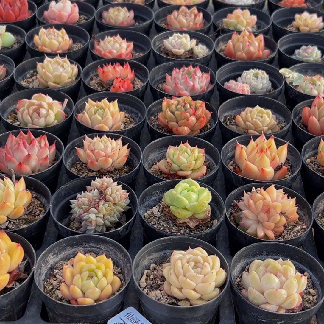 791大热天的一天从早上