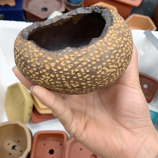 【闪购商品】紫砂花盆紫砂花盆
