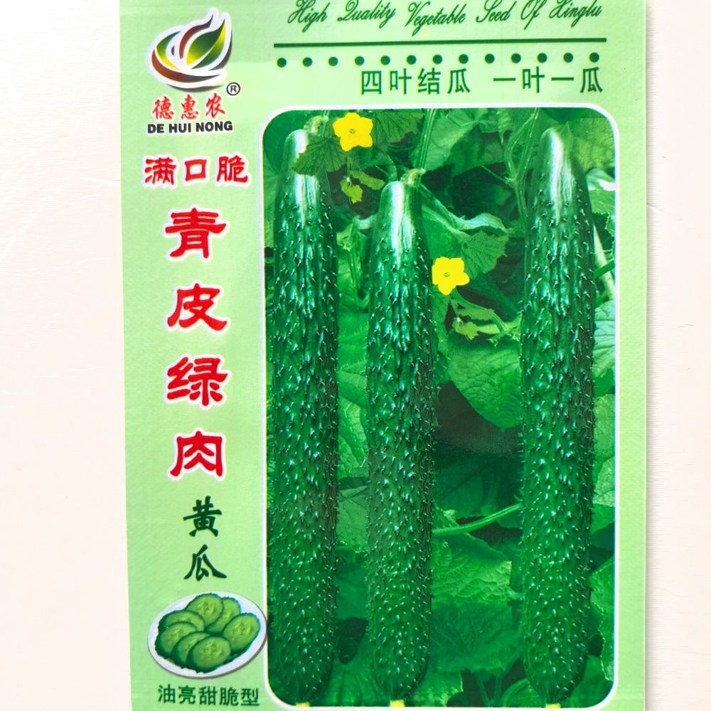 新鲜带刺绿瓤黄瓜现摘春秋种植当季可生吃凉拌的应季蔬菜种子