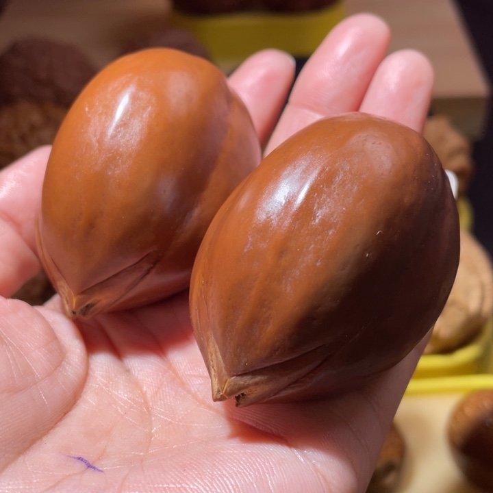 桃核把件橄榄核一对