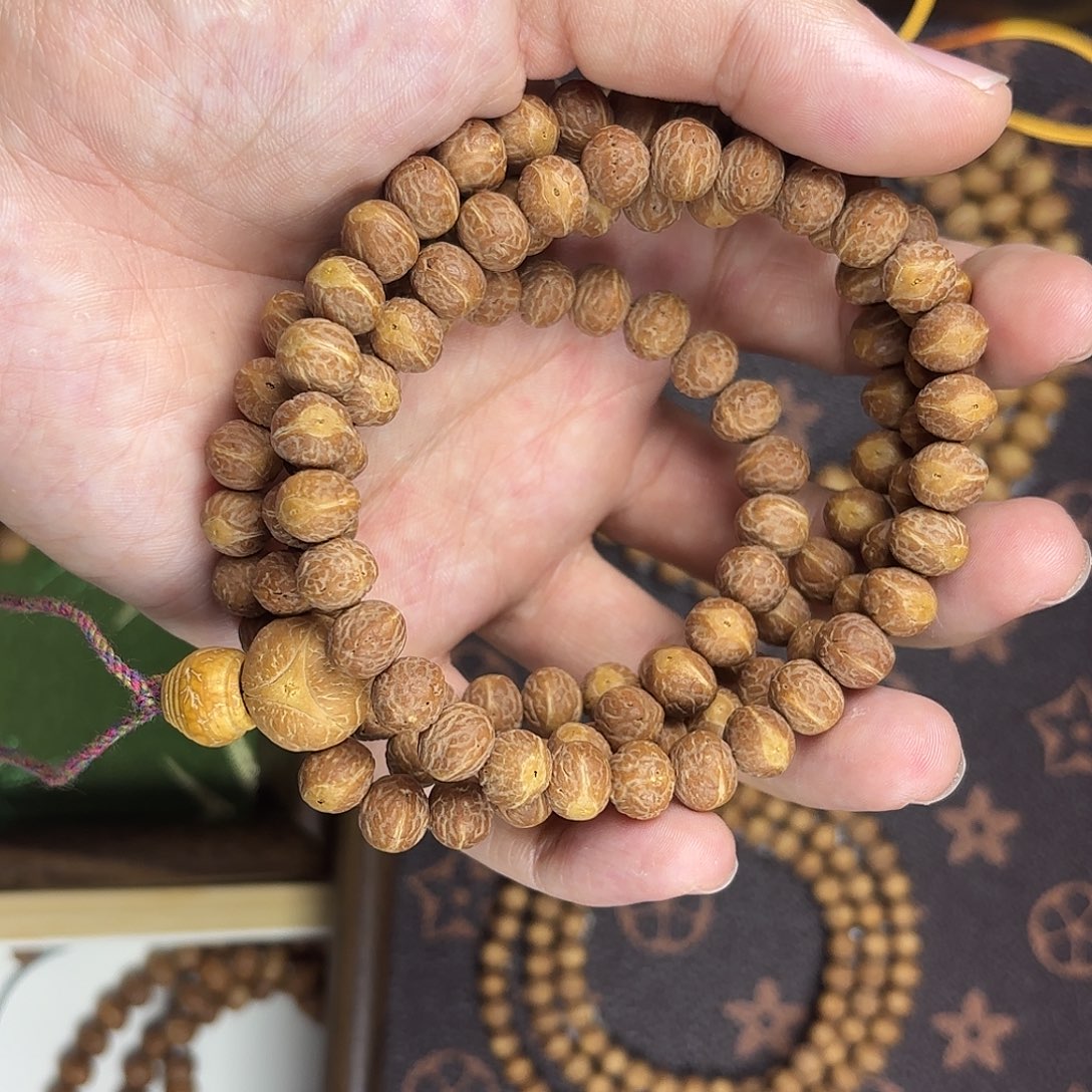 ℳ***董啊啊啊啊啊啊啊啊啊