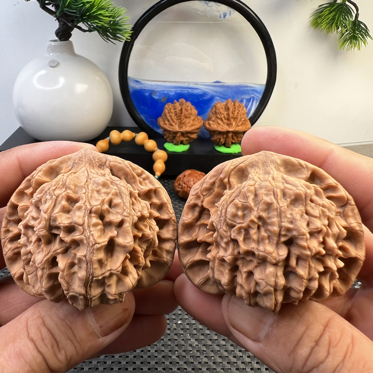 文玩核桃麒麟纹大官帽原色精品56尺寸