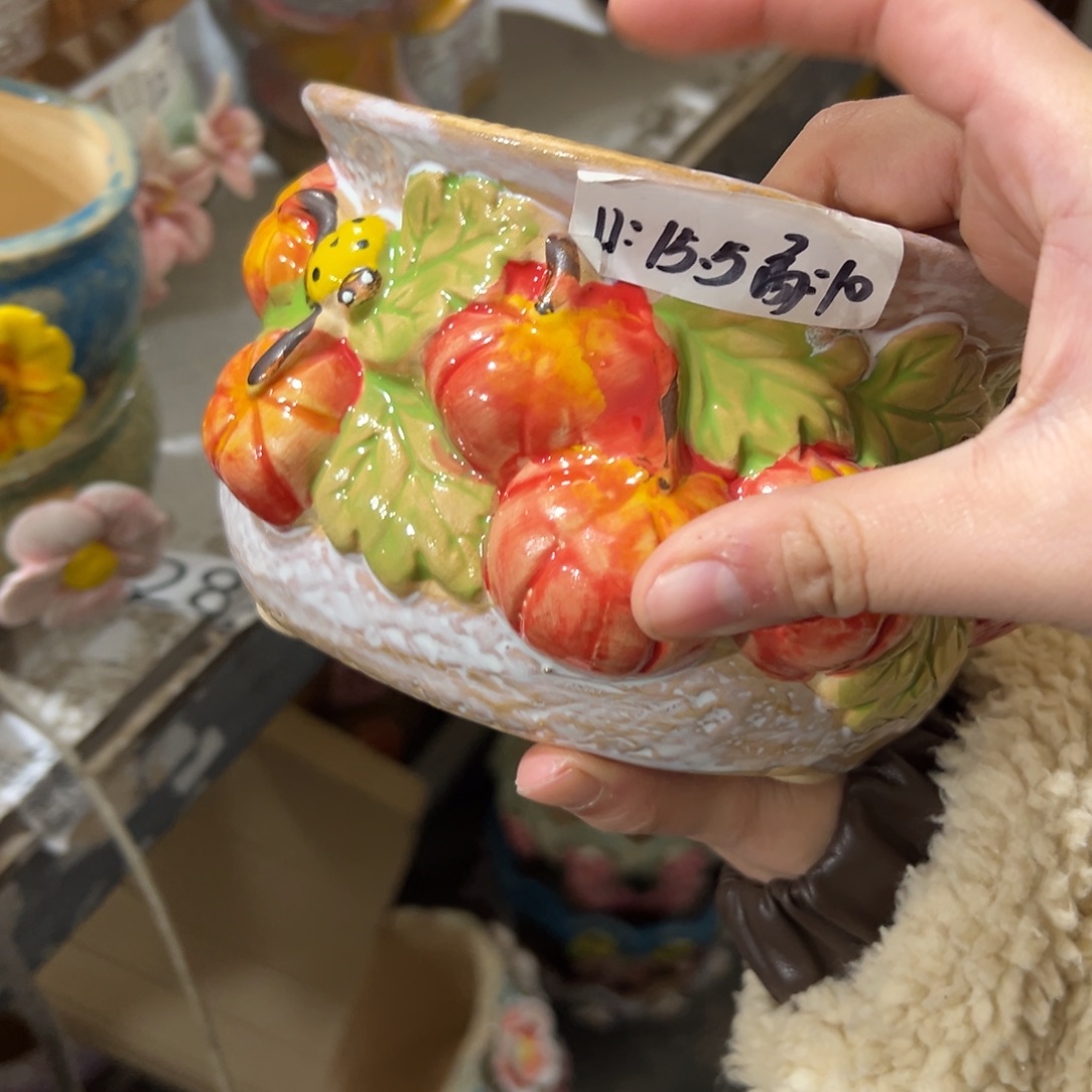 花盆，拍满20发货，退款拉黑