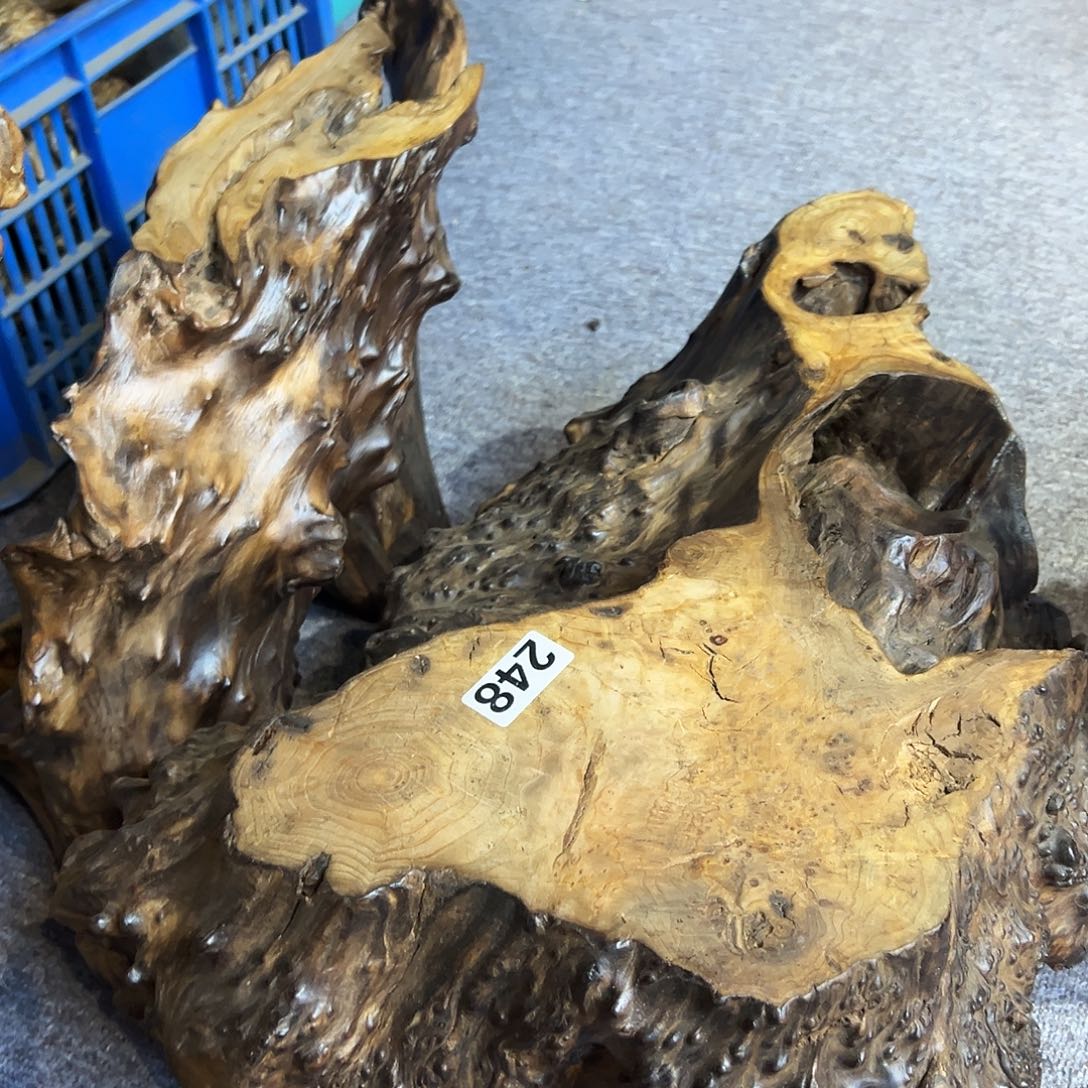 瞎***猫香榧木248wwwwwwwwwwwwww