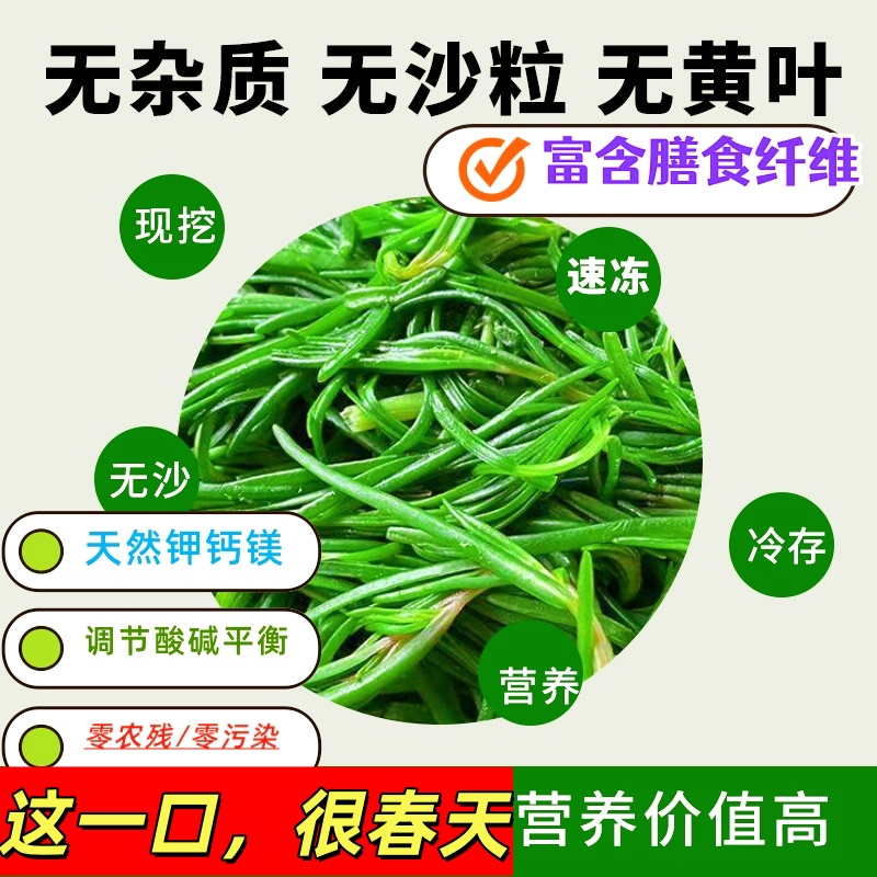 速冻黄须菜营养丰富 自然生长可用于凉拌蒸菜水饺包子