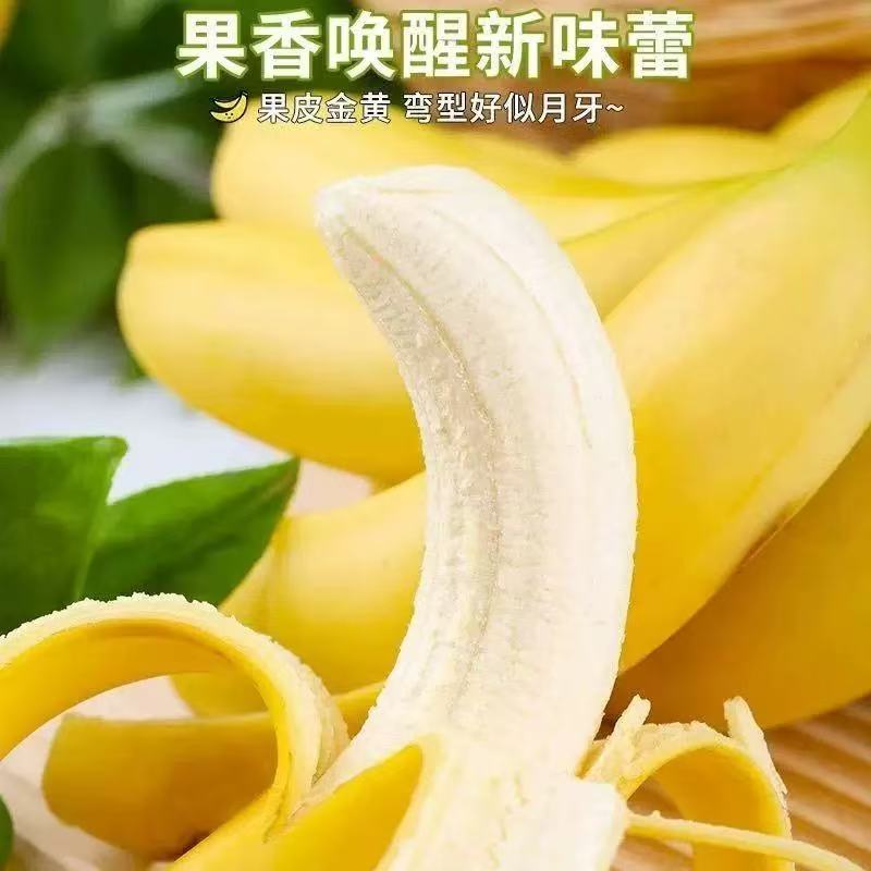 【果叔源选】菲律宾高山超甜香蕉2把共6-6.5斤 顺丰包邮