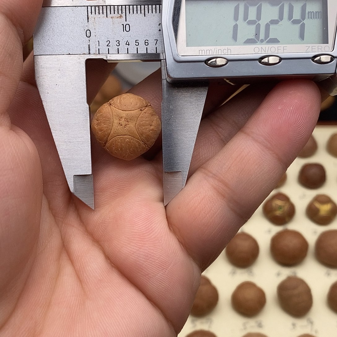 吊坠凤眼菩提开播福利麒麟