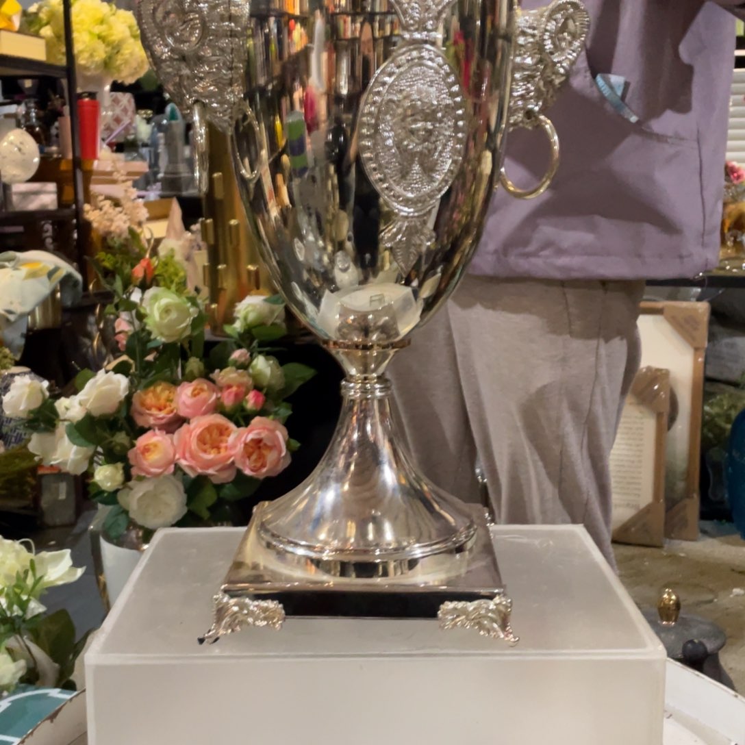 暗***茸花瓶摆件，仿真绿植。