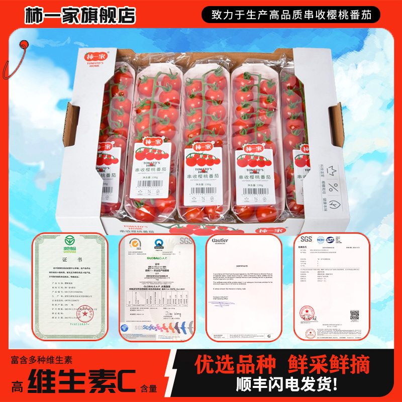 【柿一家】精选现摘串收番茄新鲜采摘酸甜多汁可当水果小西红柿