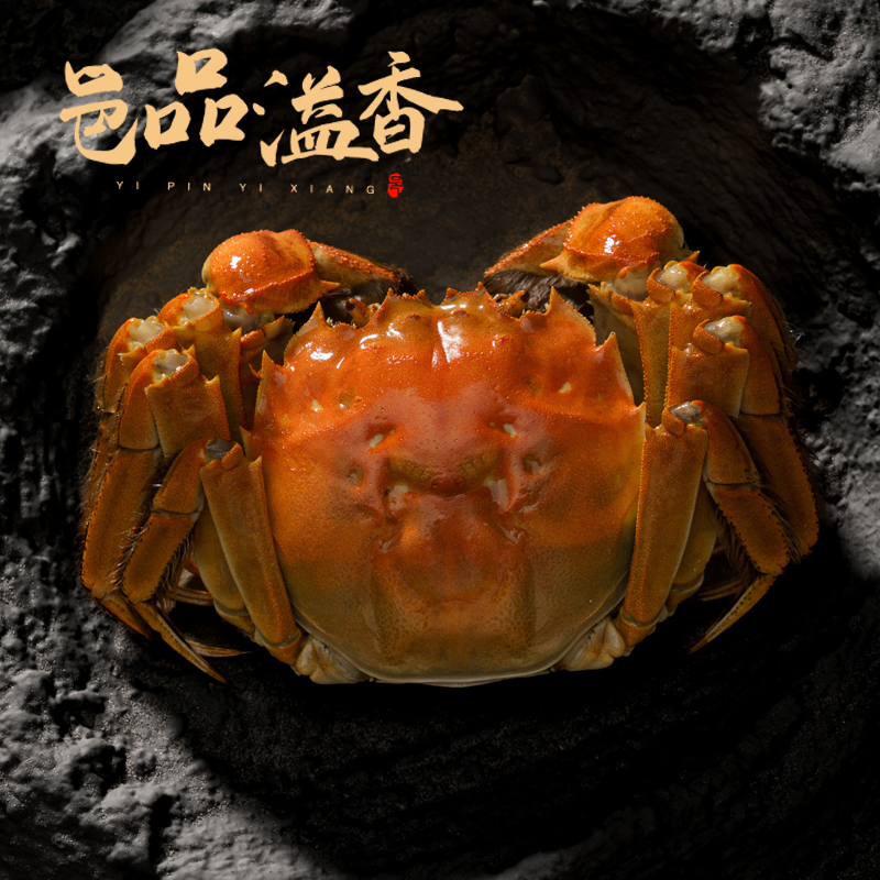 鲜活大闸蟹3.5两精品公蟹6只装