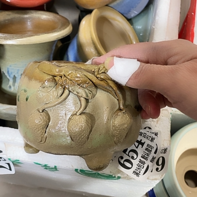 【闪购商品】红陶口9