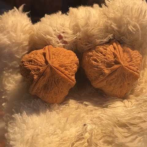 *****文玩核桃把件手捻三棱AP