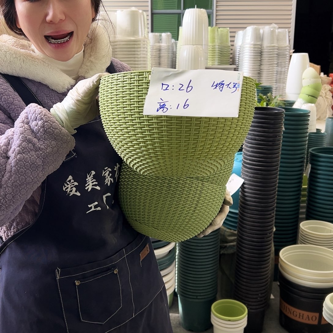 瑕疵吊兰特大号果绿4套