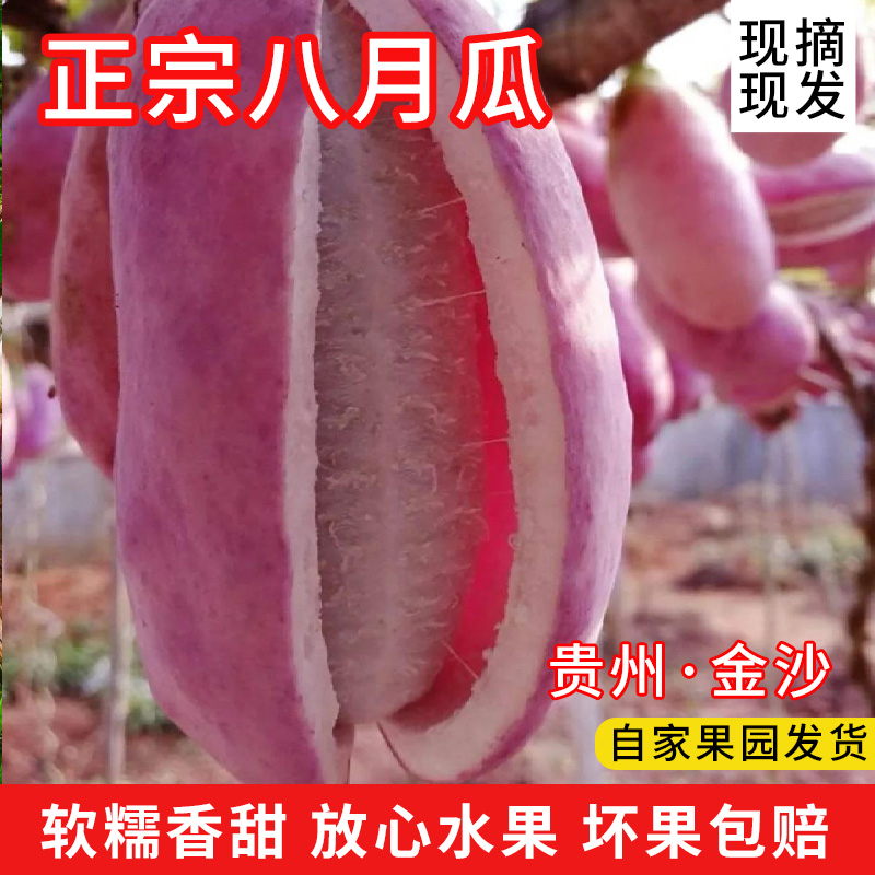 贵州特产深山当季新鲜水果八月炸瓜现摘软糯香甜八月孕妇8月瓜