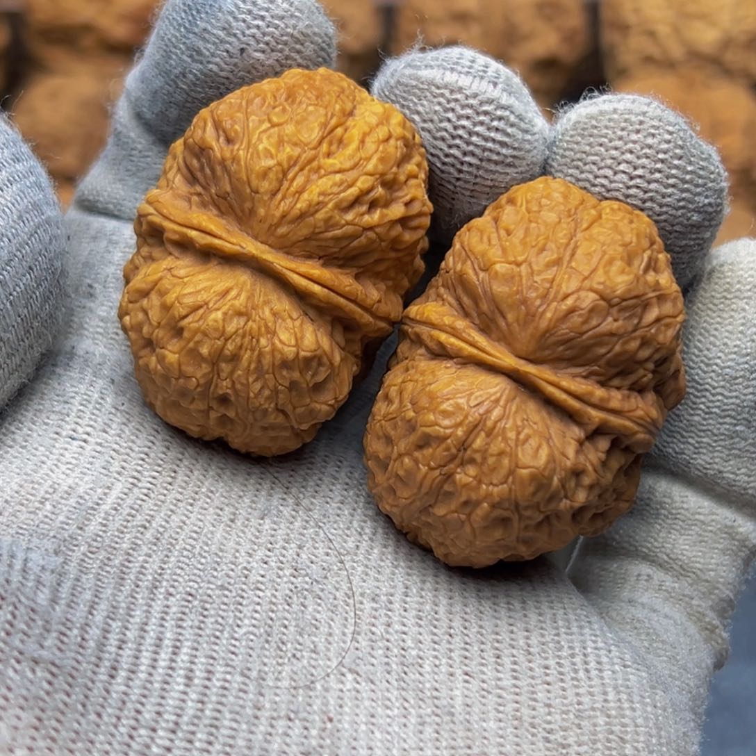 W*龘41尺寸金锭元宝 一物一图