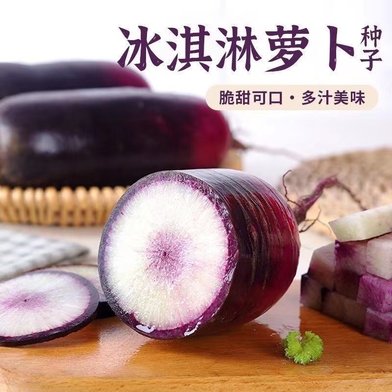 冰激凌水果萝卜种子秋冬种籽紫皮冰淇淋水果萝卜种子田园蔬菜种子