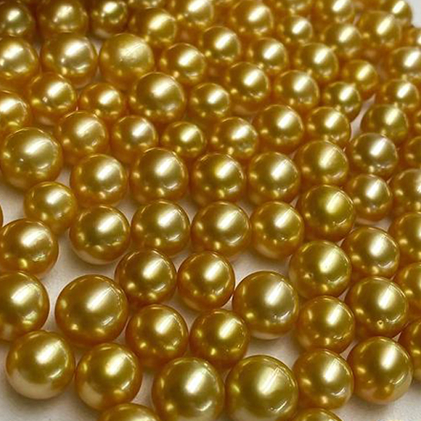 【直播间专拍】海之私语 海水珍珠 南洋金珠 多样性发一