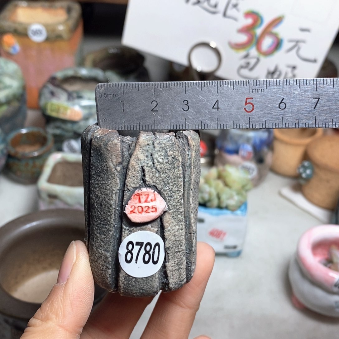 花盆双十二活动不退不换的原28元一个