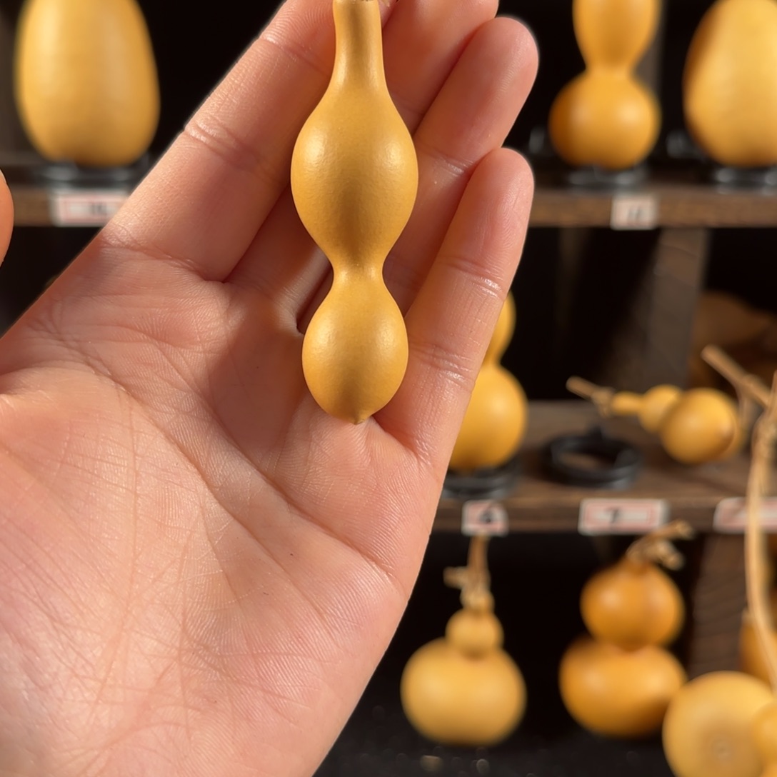 小*葫芦葫芦葫芦葫芦葫芦