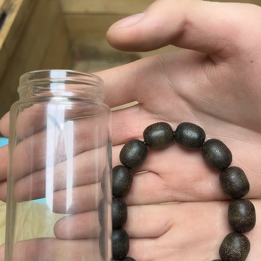 大叶紫檀（黑酸枝木类）