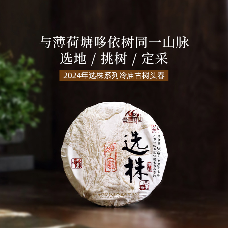  吾味奇山2024头春选株易武冷庙原始林云南古树普洱茶生茶饼200g