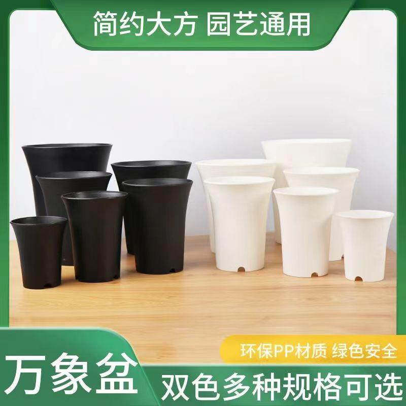 圆形万象盆大号多肉植物盆简约塑料玉露耐用老桩花盆多肉小花盆