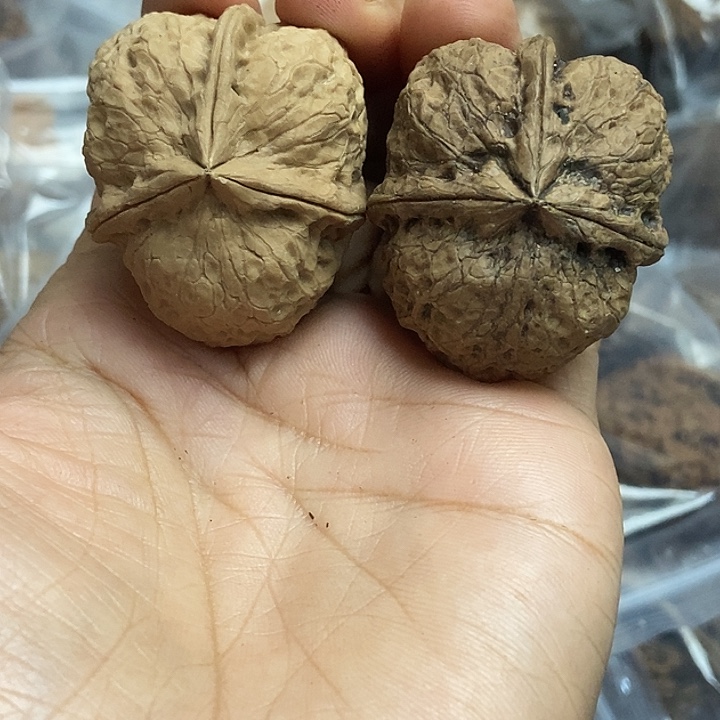 文玩核桃把件云南铁核桃基地48