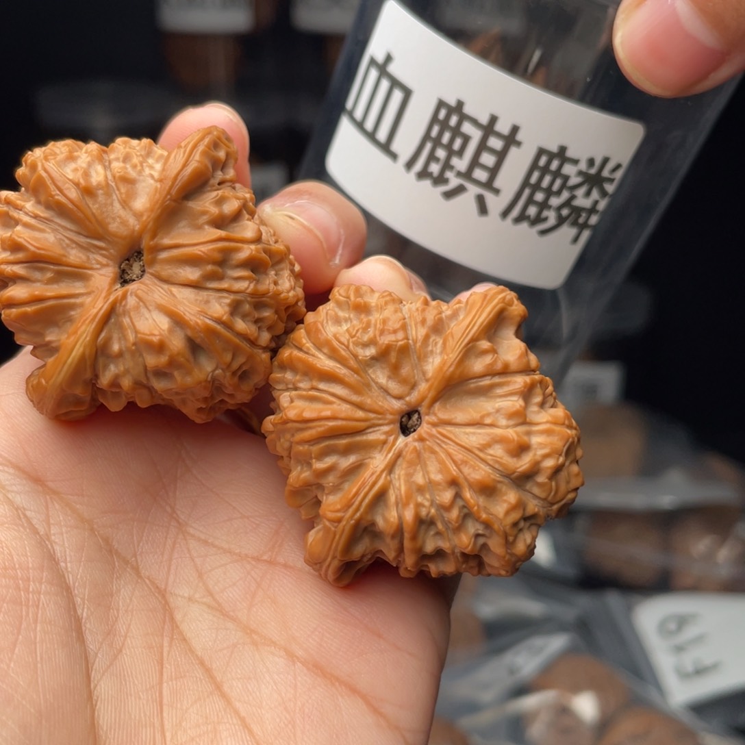 文玩核桃把件可****锅42血麒麟