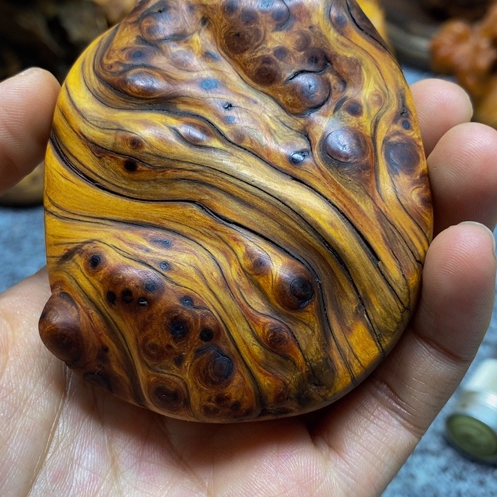 柏木（崖柏）崖柏212