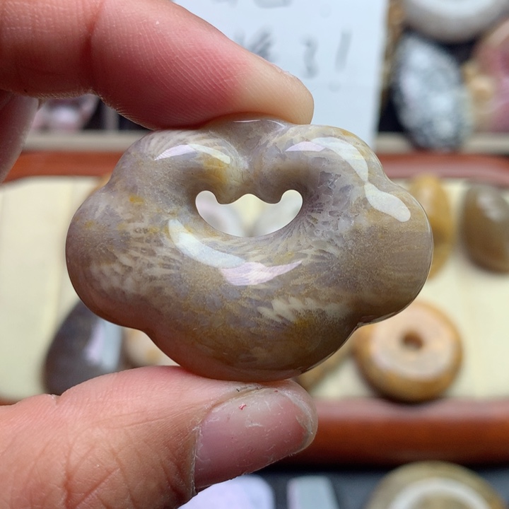 硅化珊瑚（珊瑚玉）颈饰未镶嵌