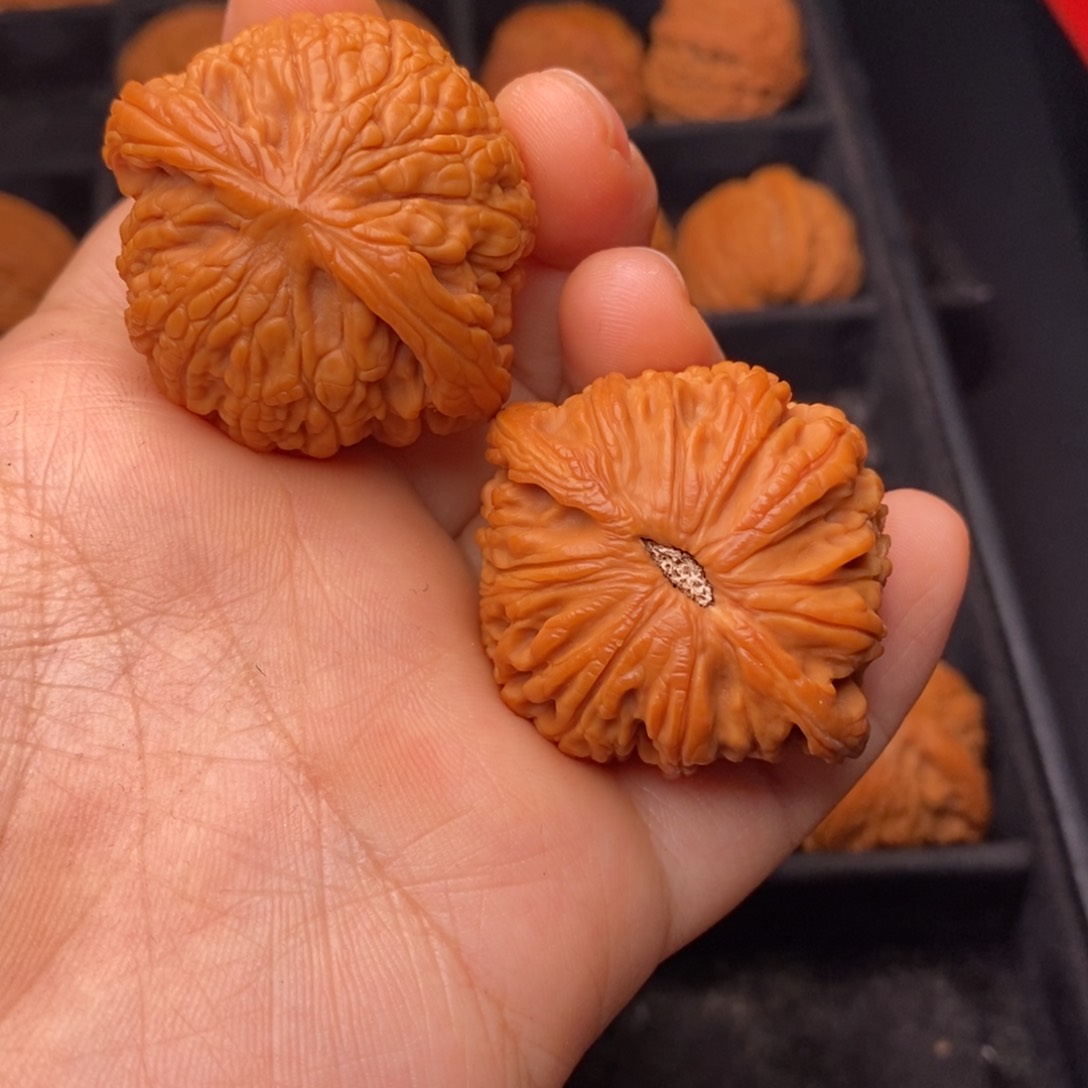 文玩核桃吊坠秦岭野生核桃