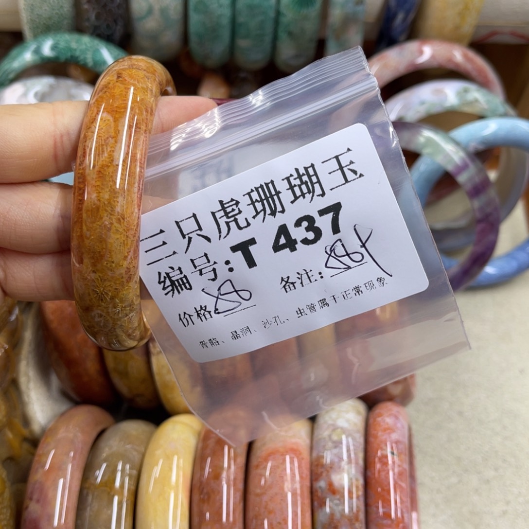 *****硅化珊瑚（珊瑚玉）未镶嵌h