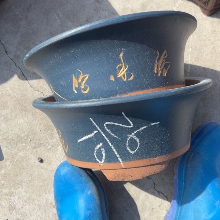 花盆紫砂紫砂的花