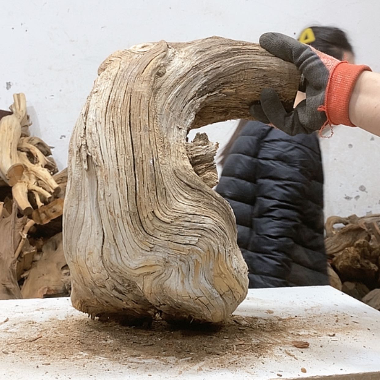 【闪购商品】柏木龍*轩我们都是好孩子