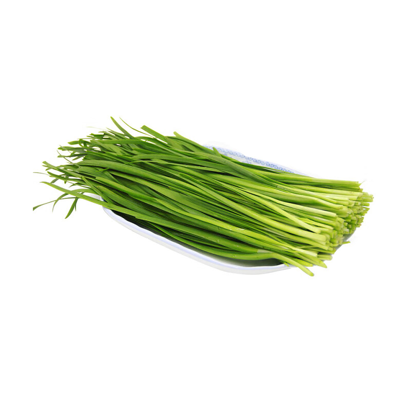 绿色韭菜250g