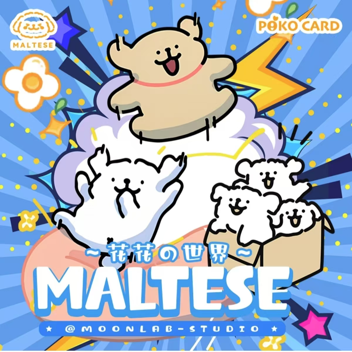 【吃吃】Poko Card《线条小狗-花花世界》第二弹收藏卡牌