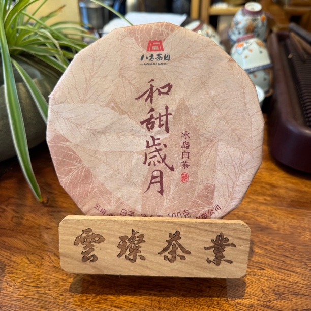 云璨茶业2023年冰岛白茶